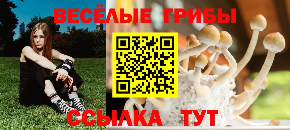 Галлюциногенные грибы мухоморы  Галлюциногенные грибы мицелий  Можайск  Вход с VPN 